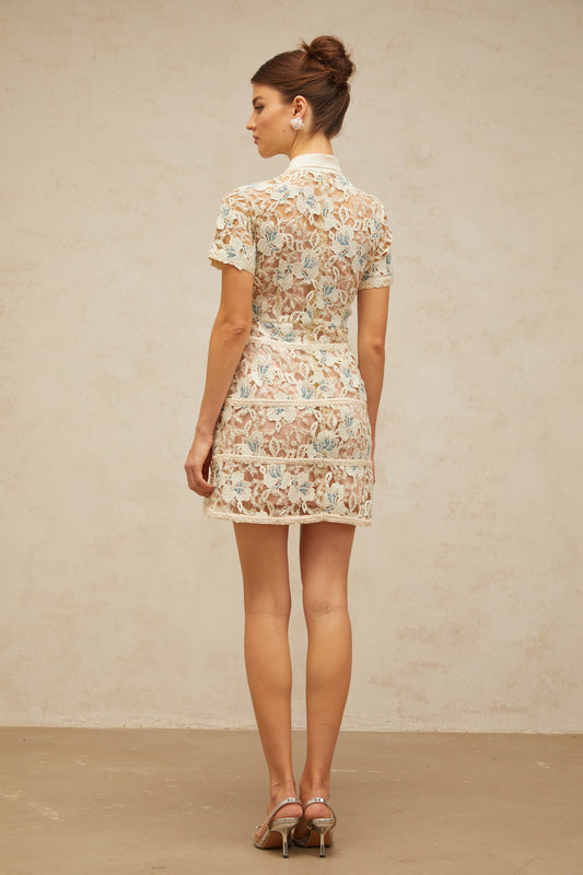 Françoise flower-embroidered mini dress