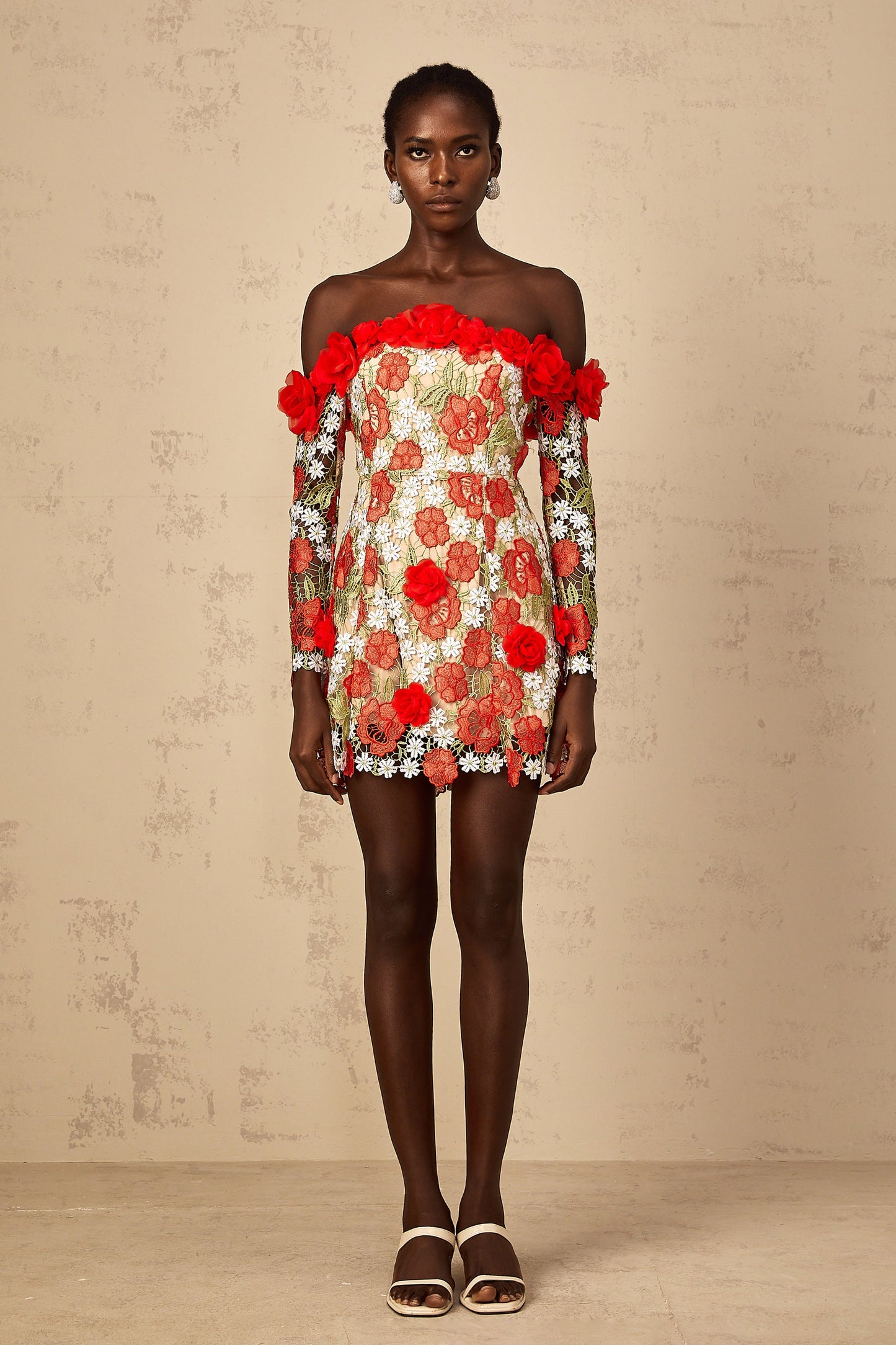 Anaya Red Rose Appliqué Embroidered Mini Dress