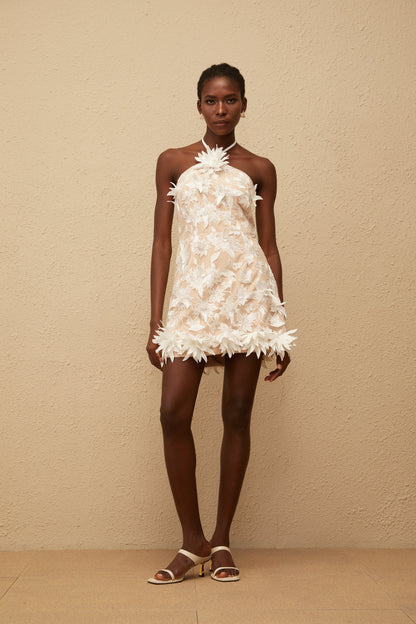 Doriane White Halterneck Floral Embroidered Mini Dress