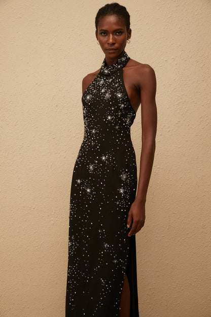 Perle Black Embellished Skinny Cut Maxi Dress
