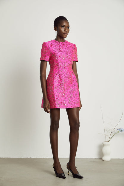 Celestia Floral-Appliqué Embellished Mini Dress in Pink