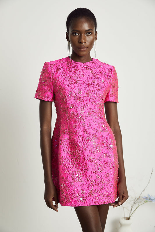 Celestia Floral-Appliqué Embellished Mini Dress in Pink
