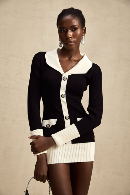 Charlotte wool color-blocked ribbed-knit mini dress