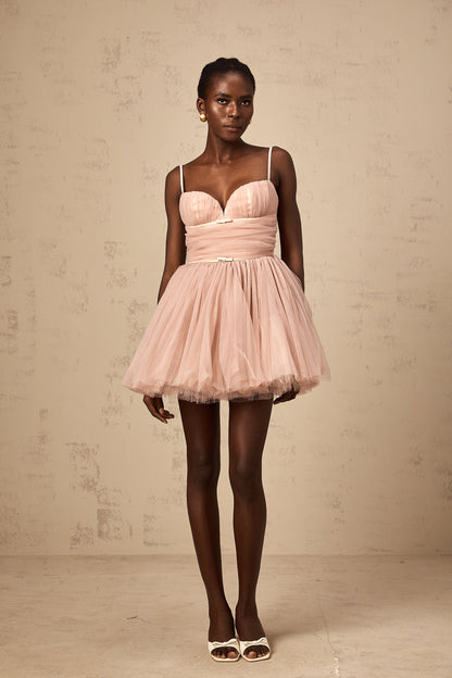Odin sleeveless pleated tulle mini dress
