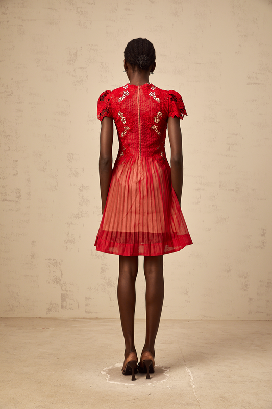 Corinne red flower-embroidered pleated mini dress