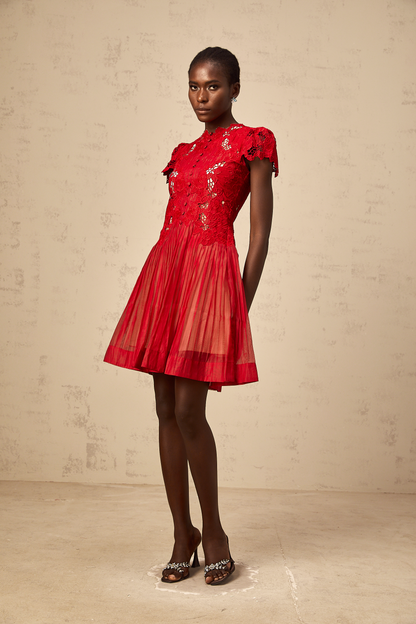Corinne red flower-embroidered pleated mini dress