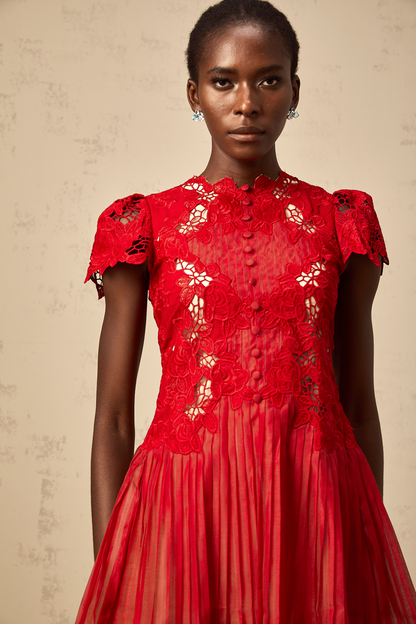 Corinne red flower-embroidered pleated mini dress