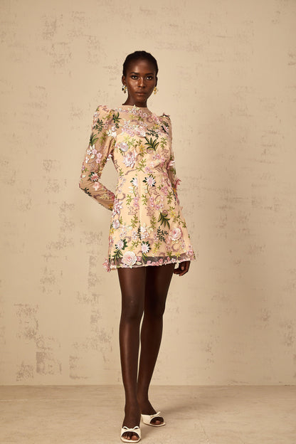 Jolien 3D Floral Appliqué Mini Dress in Pink