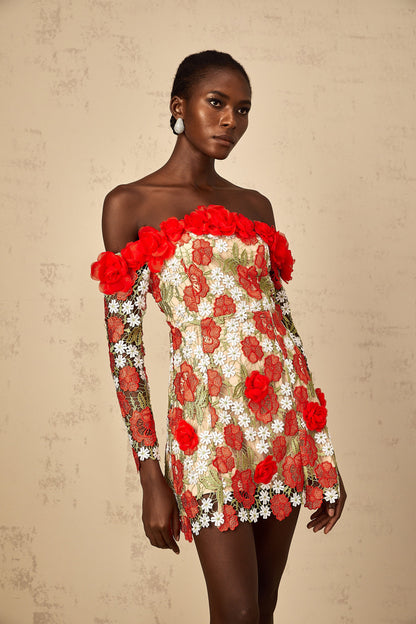 Anaya Red Rose Appliqué Embroidered Mini Dress