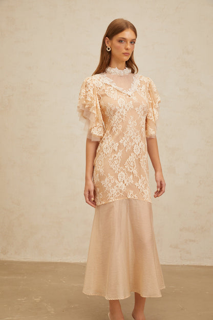 Annabelle Embellished Floral Lace Panelled Midi Dress in Neutrals