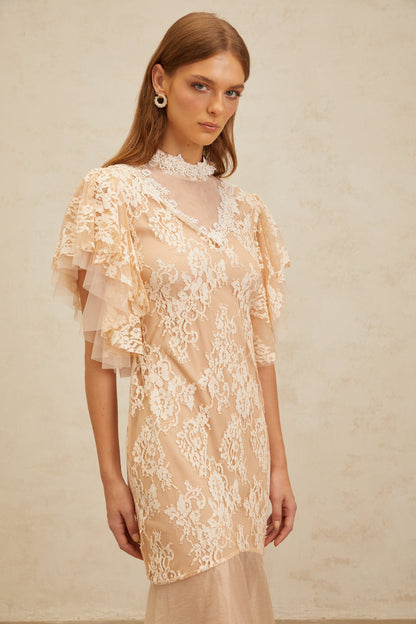 Annabelle Embellished Floral Lace Panelled Midi Dress in Neutrals