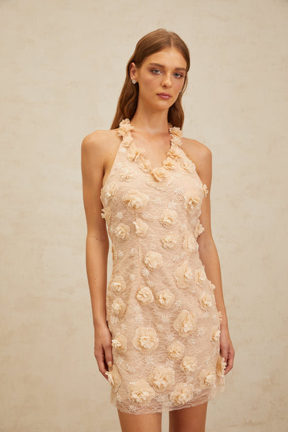 Daphné Neutrals Floral-Appliqué Lace Mini Dress