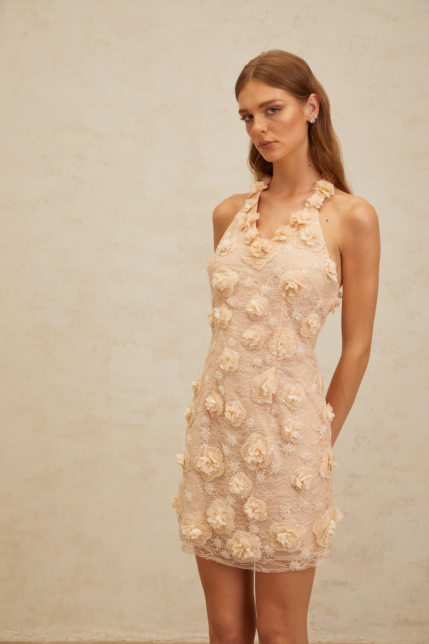 Daphné Neutrals Floral-Appliqué Lace Mini Dress