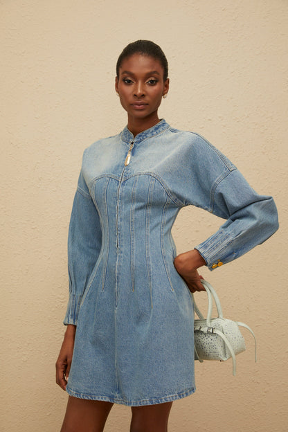Esme Blue Flared Denim Mini Dress