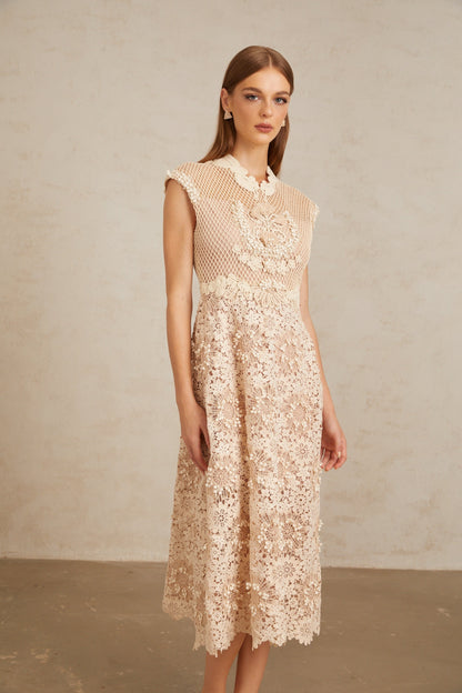 Capucine Braid Detail Corded Lace Midi Dress