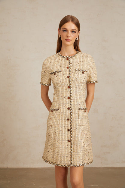 Énergie Neutral A-Line Tweed Mini Dress