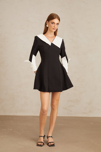 Carine Color Block Flared Mini Dress