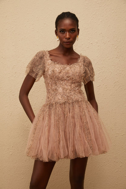 Gaëtane Brown Tulle Panel Lace Mini Dress