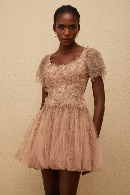 Gaëtane Brown Tulle Panel Lace Mini Dress