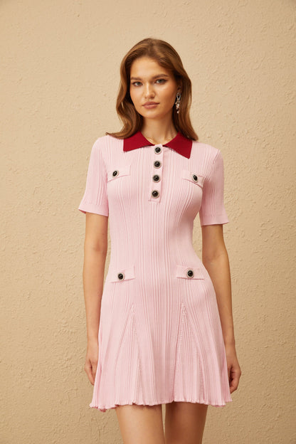 Diane Pink Ribbed Knit Mini Dress