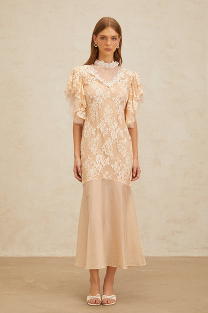 Annabelle Embellished Floral Lace Panelled Midi Dress in Neutrals