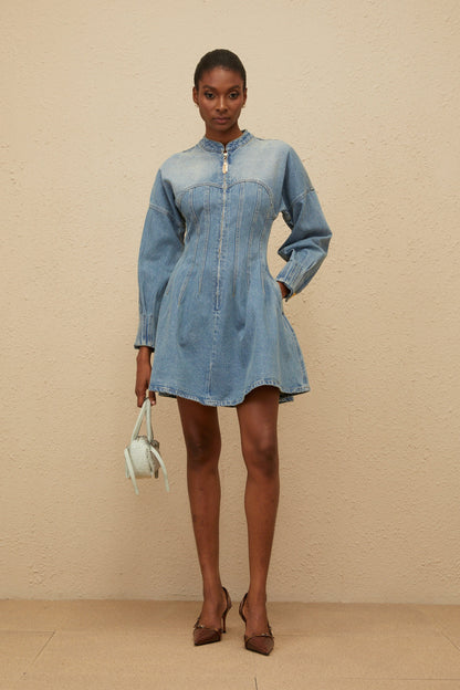 Esme Blue Flared Denim Mini Dress