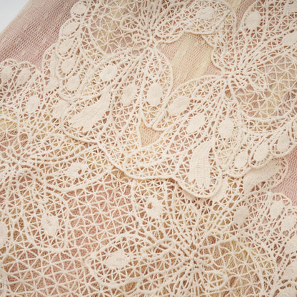 Céleste floral-lace-panelling tulle midi dress in Neutrals