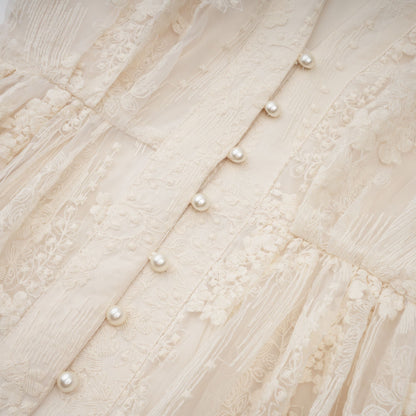 Roxane neutrals lace-embroidered midi dress