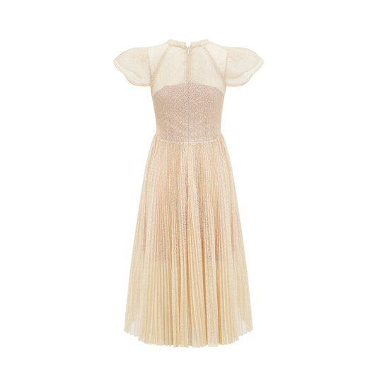 Nerissa embroidered pleated midi dress